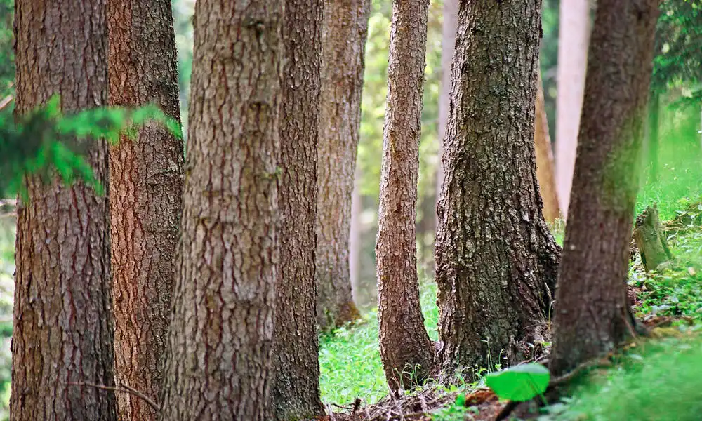 How to buy Sustainable Packaging pouches